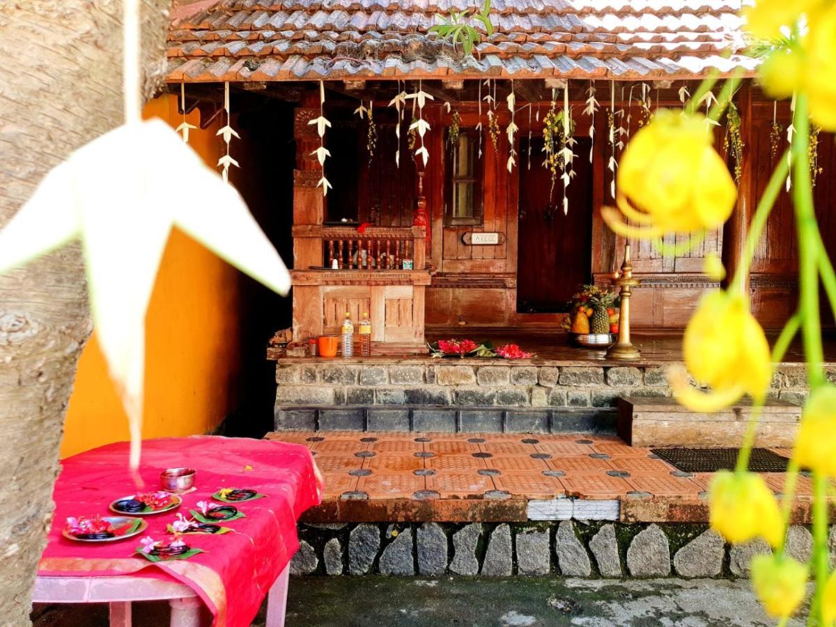 Thriphala Ayurveda Yoga ashram Daire Thiruvananthapuram Dış mekan fotoğraf