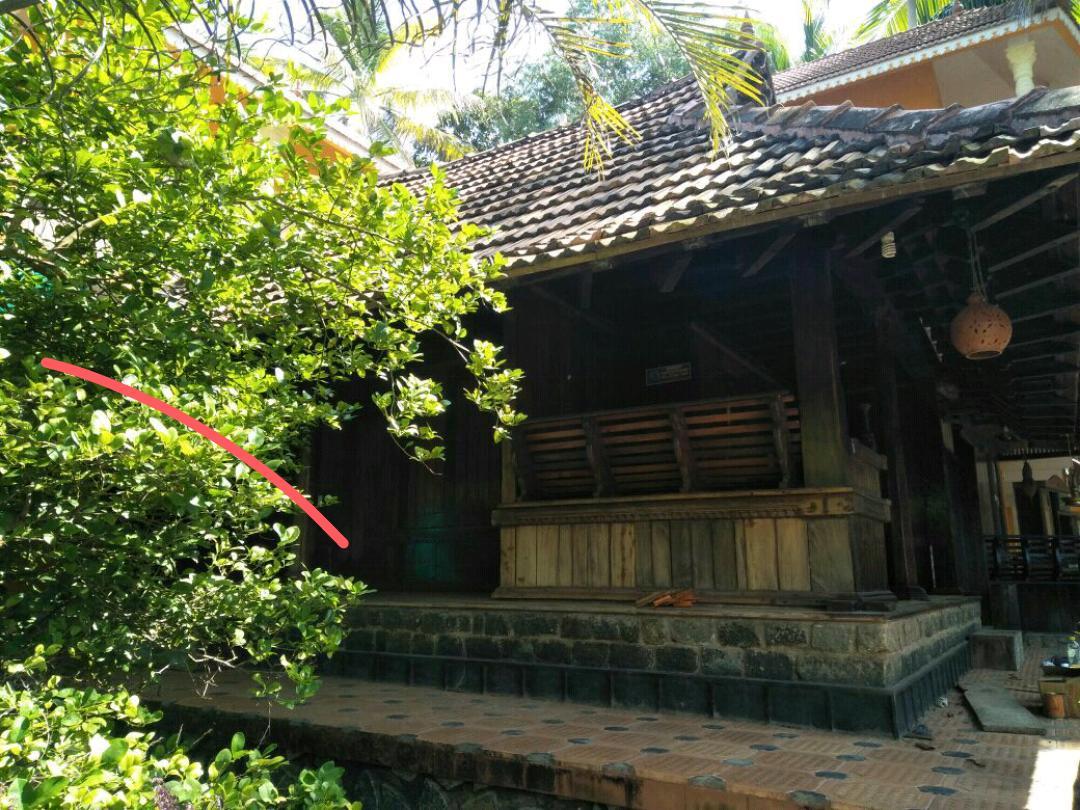 Thriphala Ayurveda Yoga ashram Daire Thiruvananthapuram Dış mekan fotoğraf
