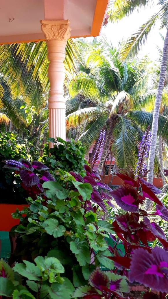 Thriphala Ayurveda Yoga ashram Daire Thiruvananthapuram Dış mekan fotoğraf